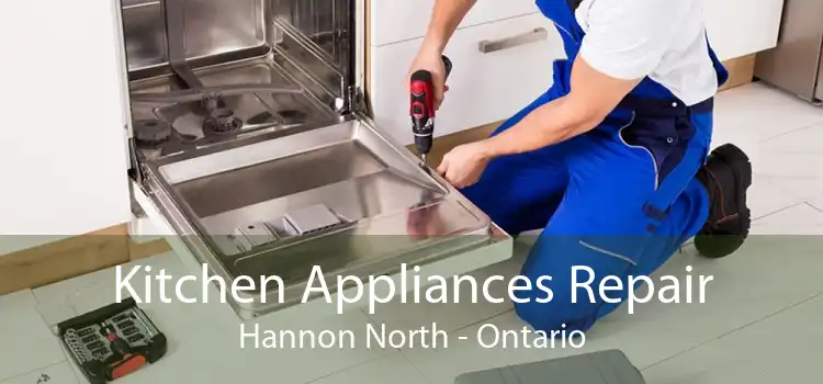 Kitchen Appliances Repair Hannon North - Ontario