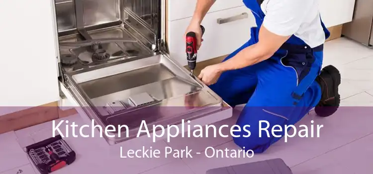 Kitchen Appliances Repair Leckie Park - Ontario