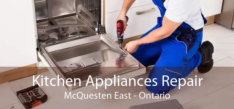 Kitchen Appliances Repair McQuesten East - Ontario
