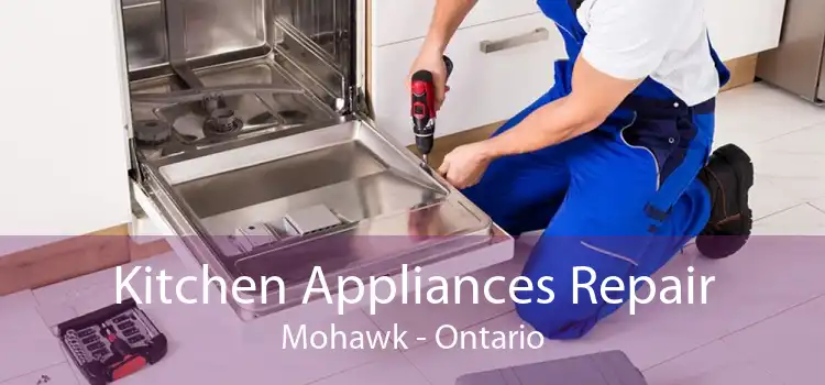 Kitchen Appliances Repair Mohawk - Ontario