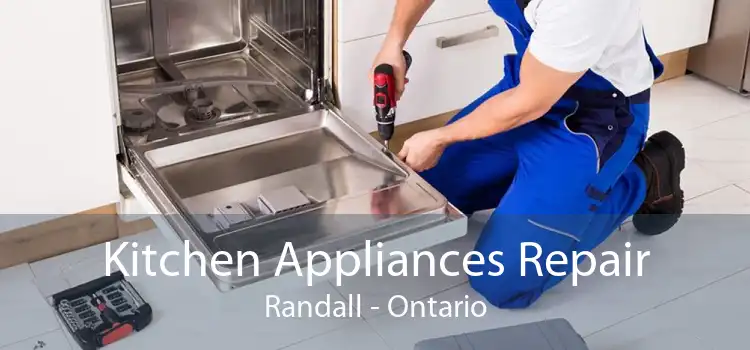 Kitchen Appliances Repair Randall - Ontario
