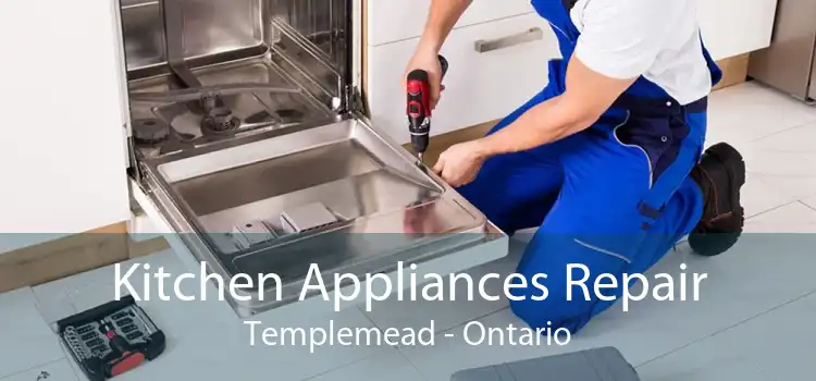 Kitchen Appliances Repair Templemead - Ontario
