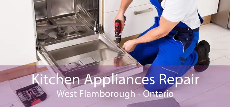 Kitchen Appliances Repair West Flamborough - Ontario