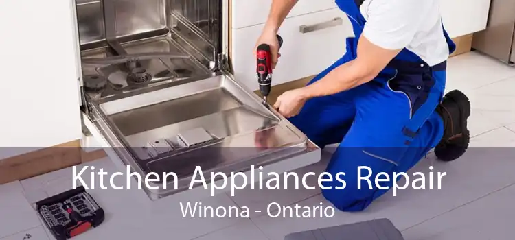 Kitchen Appliances Repair Winona - Ontario