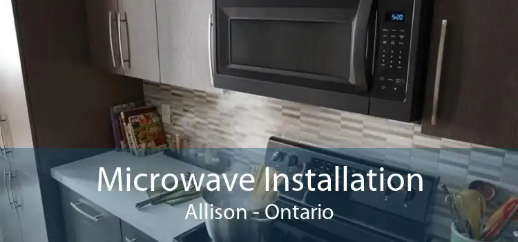 Microwave Installation Allison - Ontario