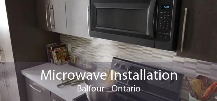 Microwave Installation Balfour - Ontario