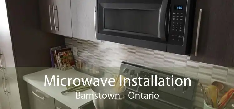 Microwave Installation Barnstown - Ontario