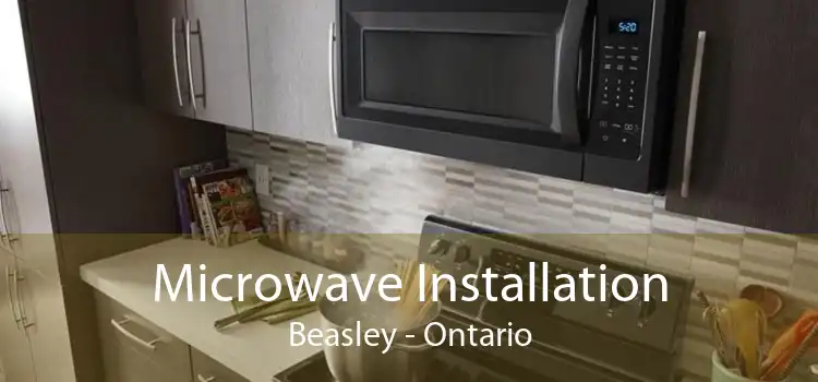 Microwave Installation Beasley - Ontario
