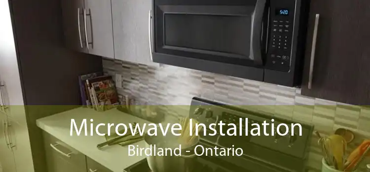 Microwave Installation Birdland - Ontario