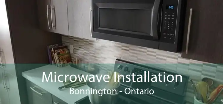 Microwave Installation Bonnington - Ontario