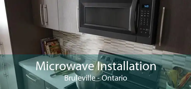 Microwave Installation Bruleville - Ontario