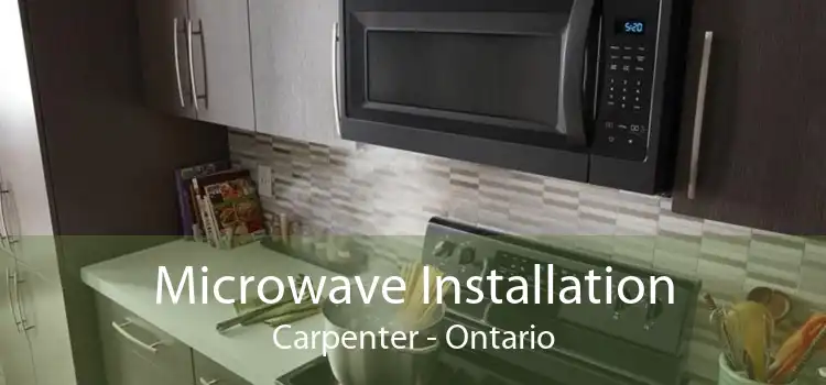 Microwave Installation Carpenter - Ontario