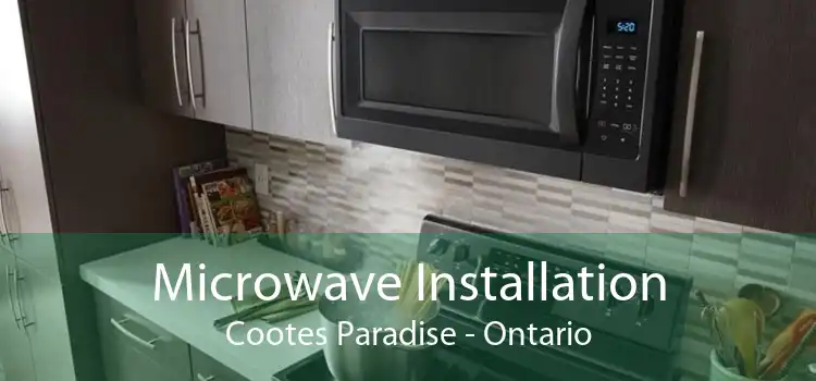 Microwave Installation Cootes Paradise - Ontario