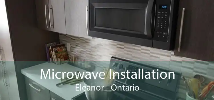 Microwave Installation Eleanor - Ontario