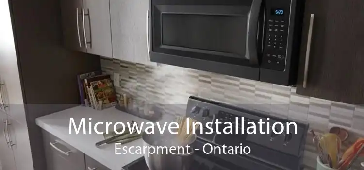 Microwave Installation Escarpment - Ontario