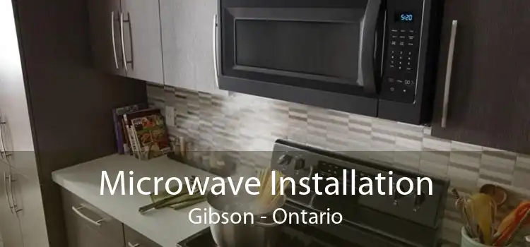 Microwave Installation Gibson - Ontario