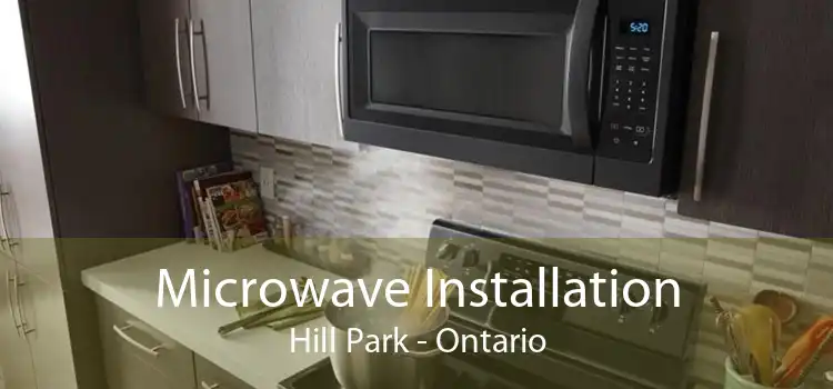 Microwave Installation Hill Park - Ontario
