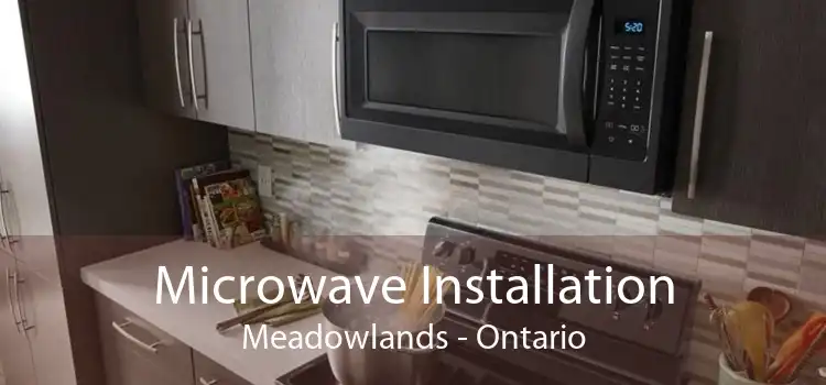 Microwave Installation Meadowlands - Ontario
