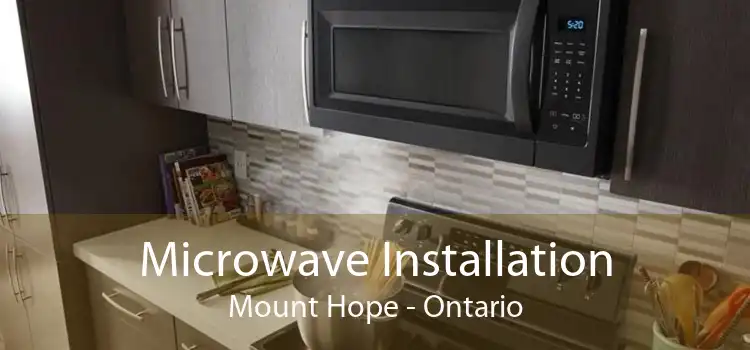 Microwave Installation Mount Hope - Ontario