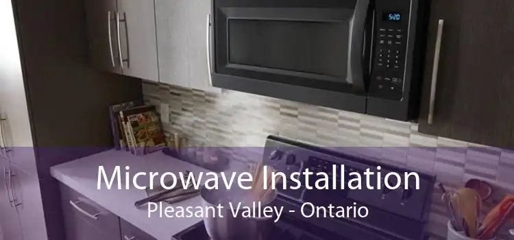 Microwave Installation Pleasant Valley - Ontario