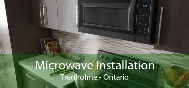 Microwave Installation Trenholme - Ontario