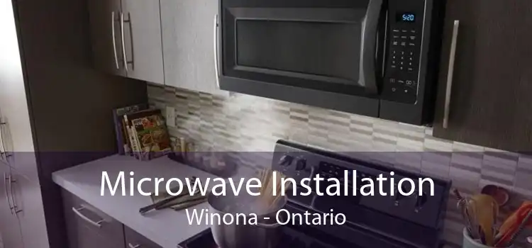 Microwave Installation Winona - Ontario