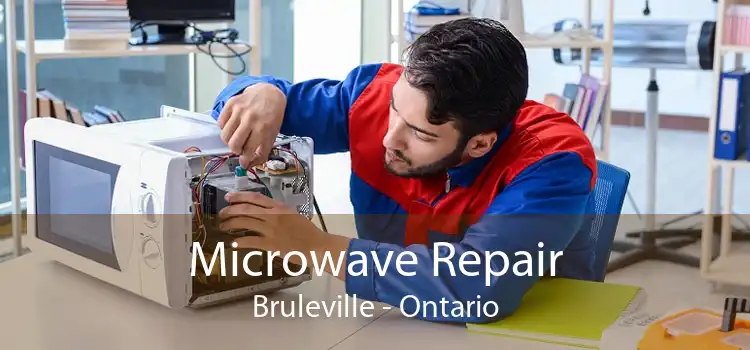 Microwave Repair Bruleville - Ontario