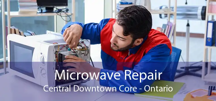 Microwave Repair Central Downtown Core - Ontario