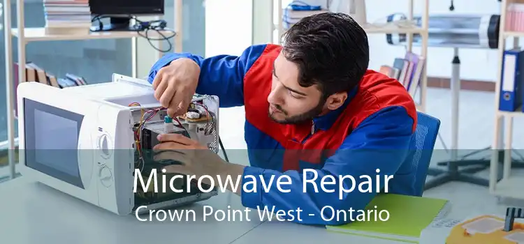 Microwave Repair Crown Point West - Ontario