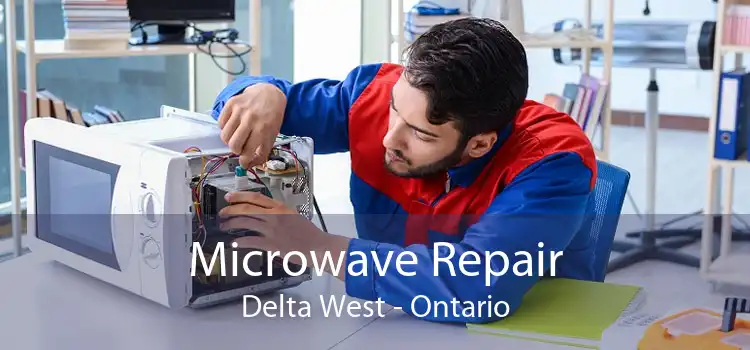 Microwave Repair Delta West - Ontario