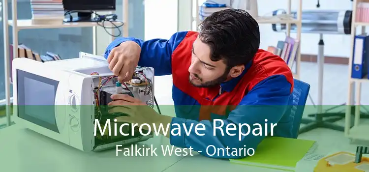Microwave Repair Falkirk West - Ontario