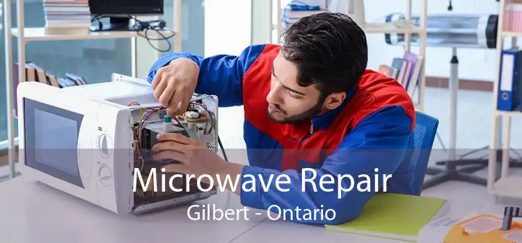 Microwave Repair Gilbert - Ontario