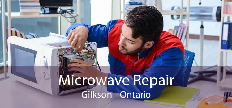 Microwave Repair Gilkson - Ontario