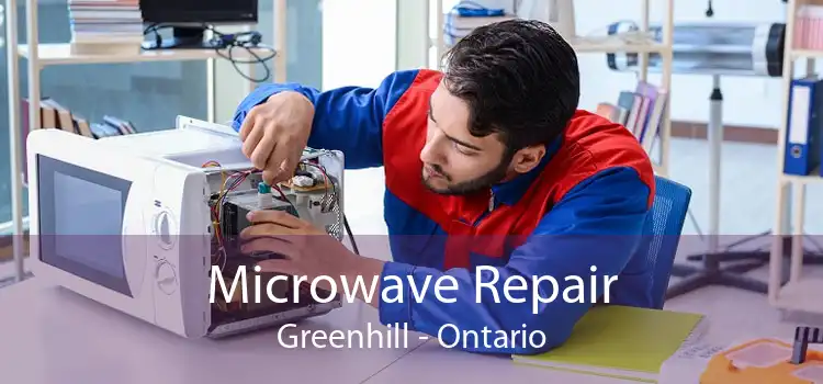 Microwave Repair Greenhill - Ontario