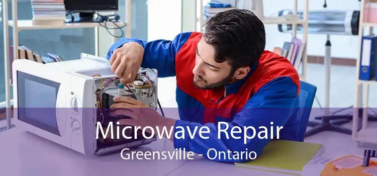 Microwave Repair Greensville - Ontario