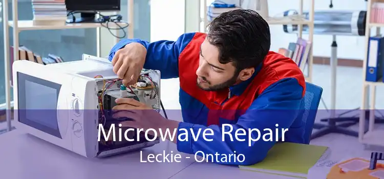 Microwave Repair Leckie - Ontario