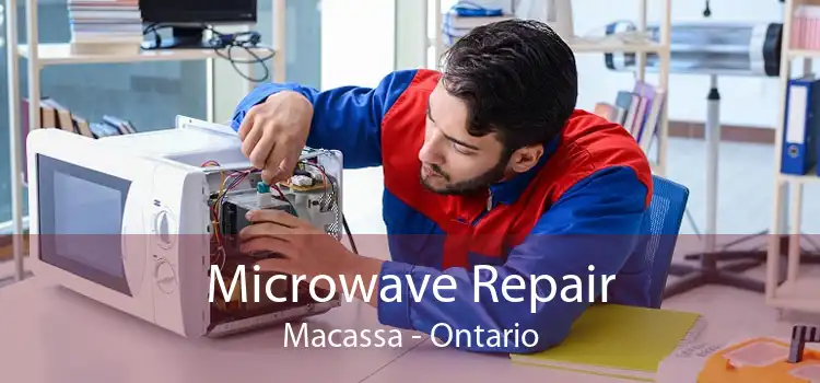 Microwave Repair Macassa - Ontario