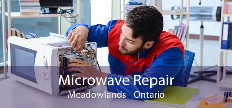 Microwave Repair Meadowlands - Ontario