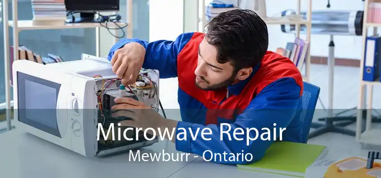 Microwave Repair Mewburr - Ontario