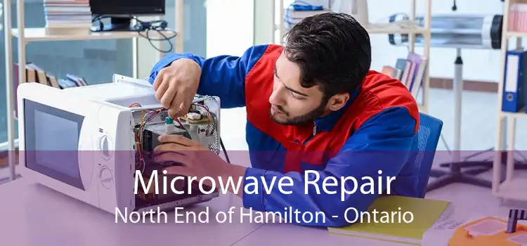 Microwave Repair North End of Hamilton - Ontario