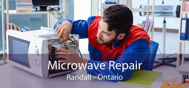 Microwave Repair Randall - Ontario
