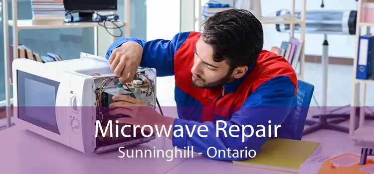 Microwave Repair Sunninghill - Ontario