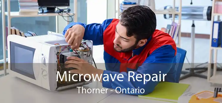 Microwave Repair Thorner - Ontario
