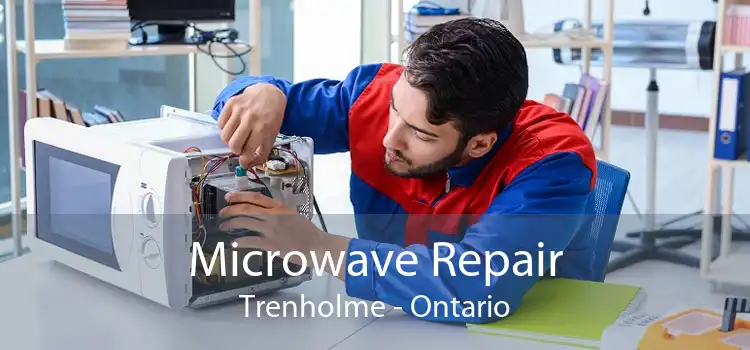 Microwave Repair Trenholme - Ontario