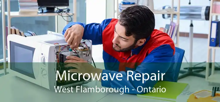Microwave Repair West Flamborough - Ontario