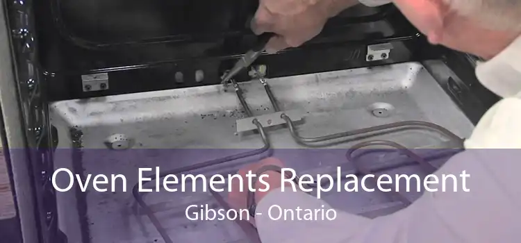 Oven Elements Replacement Gibson - Ontario