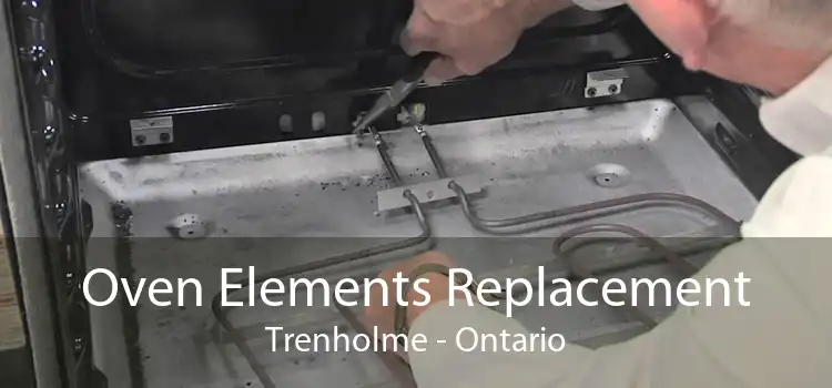 Oven Elements Replacement Trenholme - Ontario