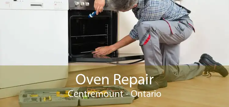 Oven Repair Centremount - Ontario