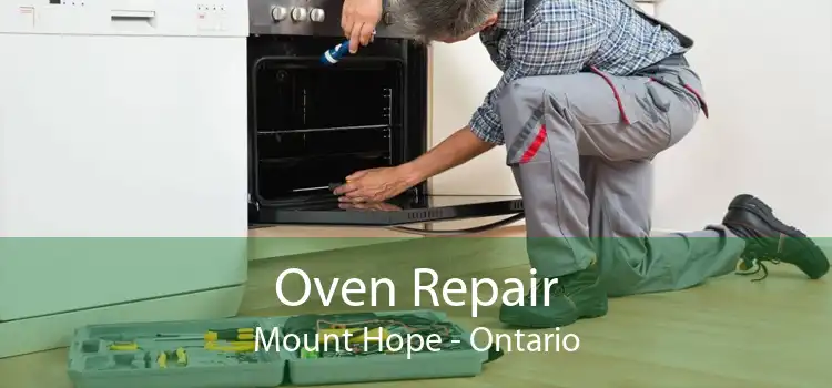 Oven Repair Mount Hope - Ontario