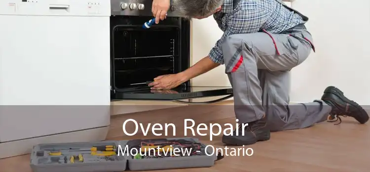 Oven Repair Mountview - Ontario